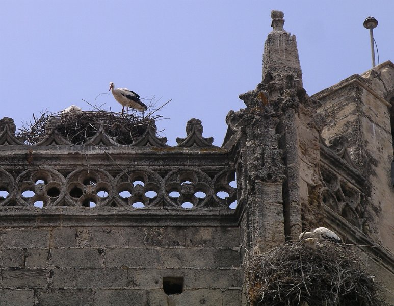 Andalusie 2011 031 (4).JPG